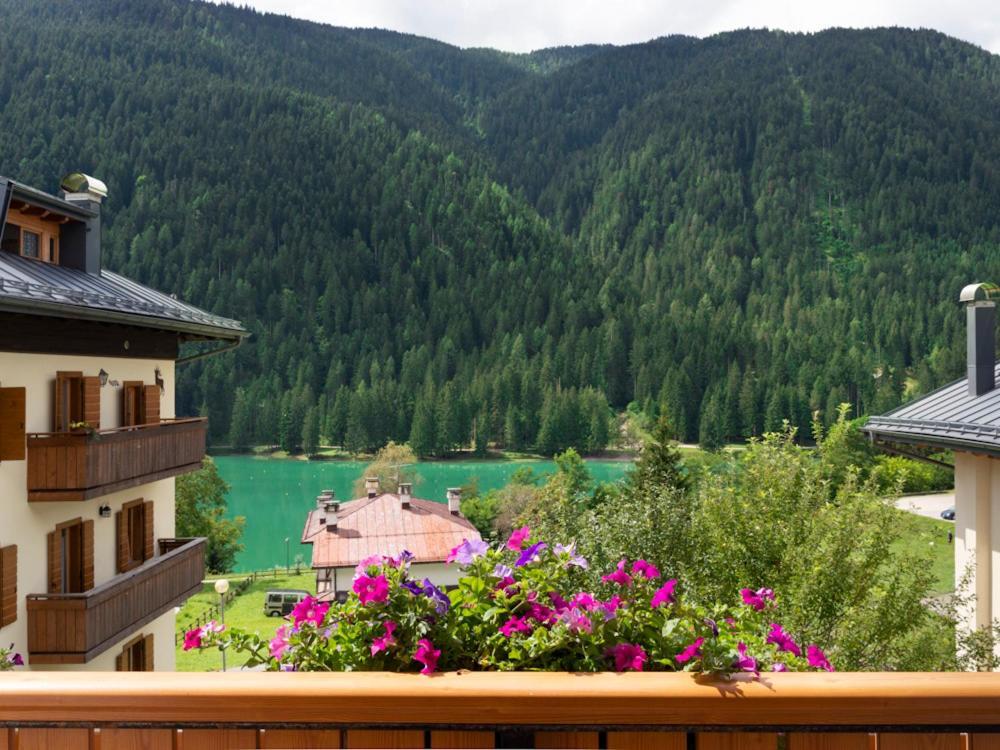 Hotel Erika Ауронцо-ди-Кадоре Экстерьер фото